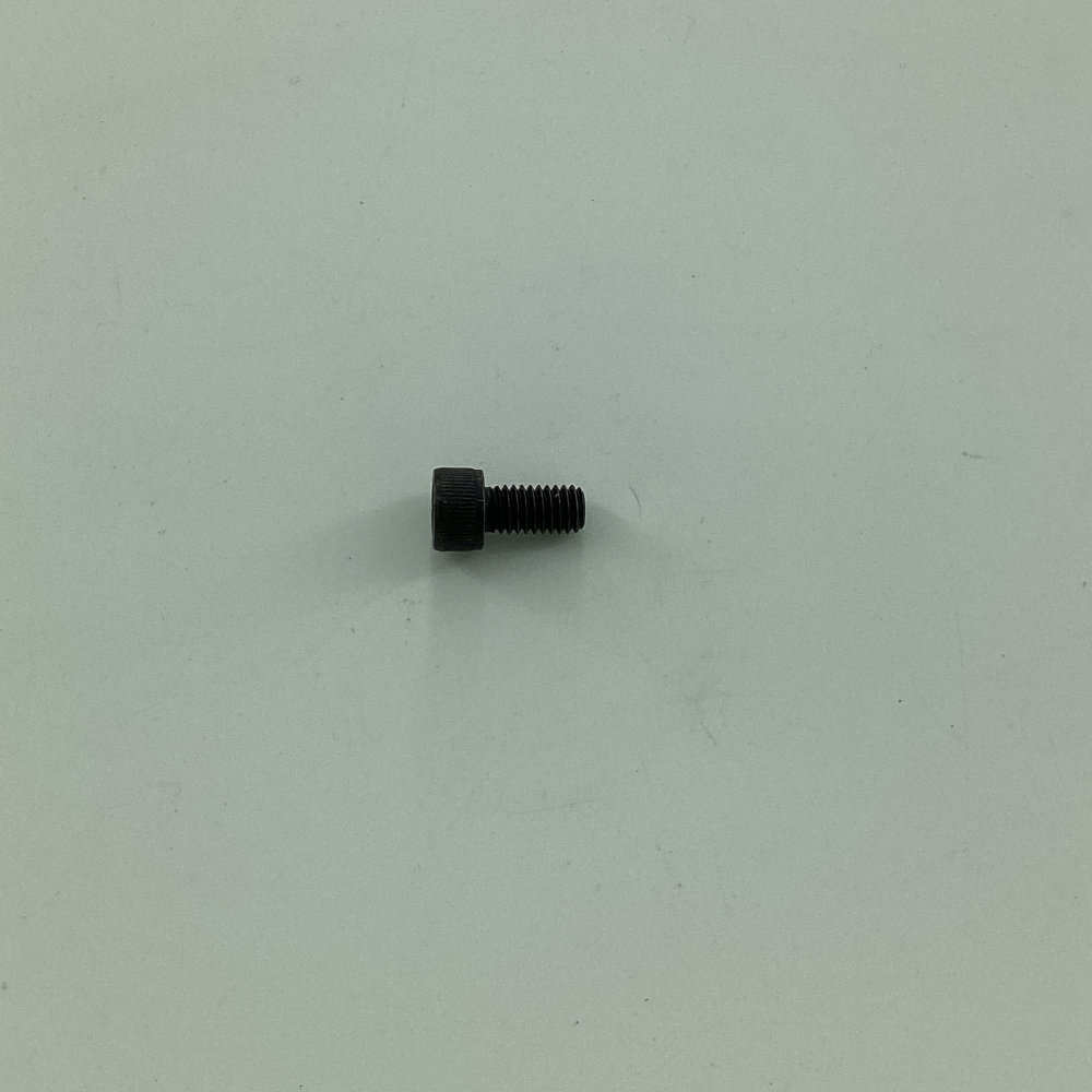 120006 SCREW