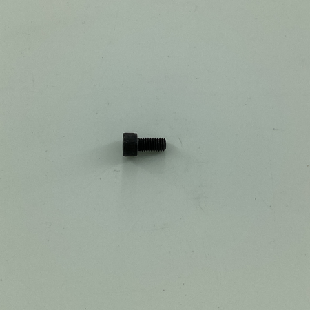 120006 SCREW