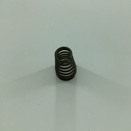 061196 LATCH SPRING