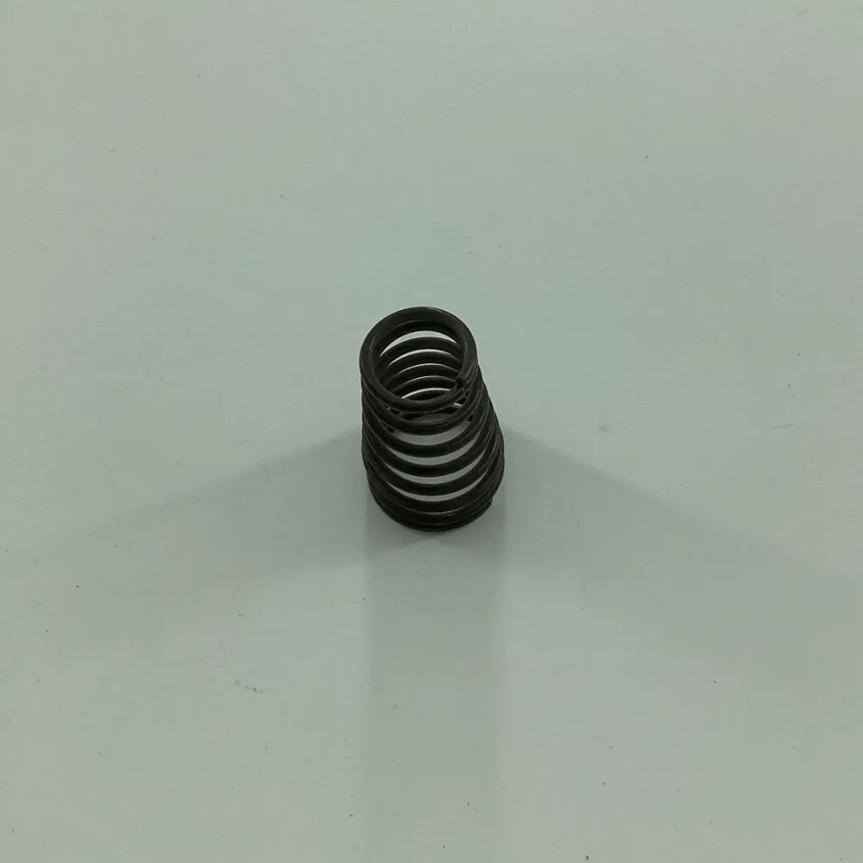061196 LATCH SPRING