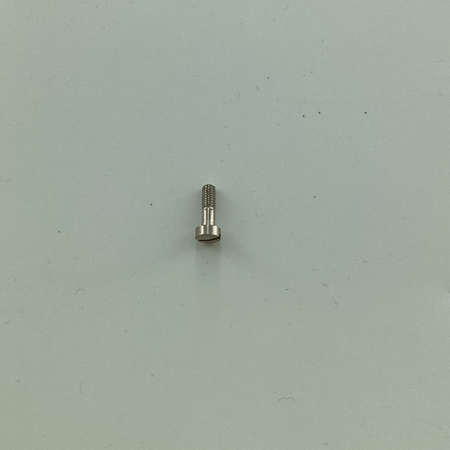 140061 SCREW