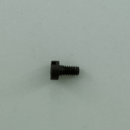 110023 SCREW